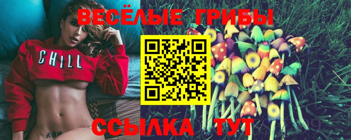 Псилоцибиновые грибы GOLDEN TEACHER  Галлюциногенные грибы Cubensis  Вход с VPN  Прохладный 